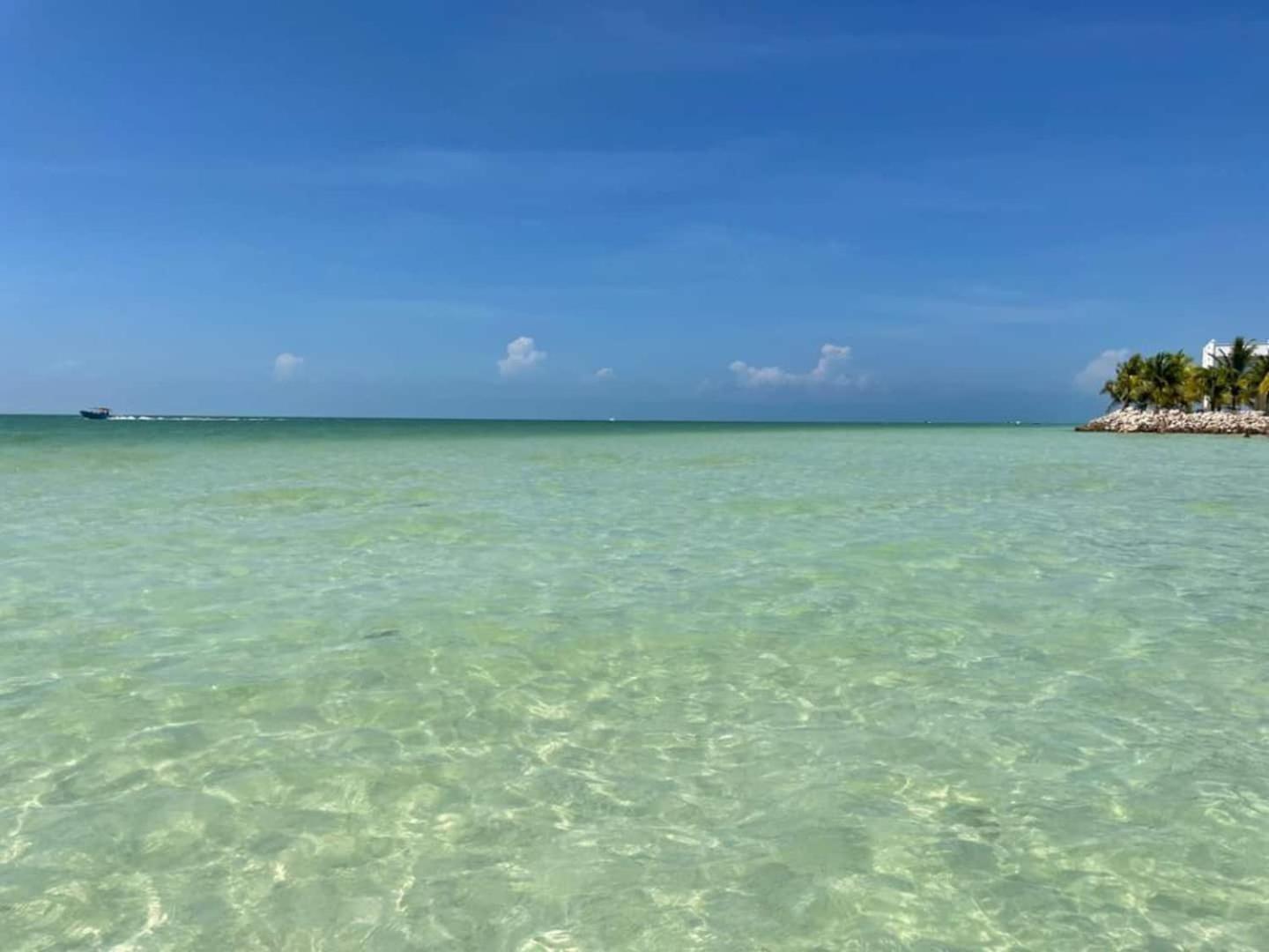 Pool View Loft Steps From The Ocean In Punta Cocos - C101 Hotel Isla Holbox Exterior photo