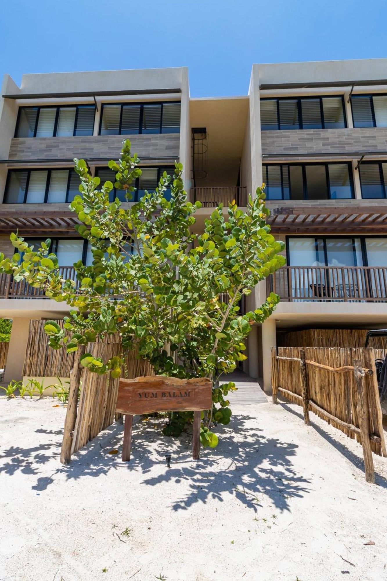 Pool View Loft Steps From The Ocean In Punta Cocos - C101 Hotel Isla Holbox Exterior photo